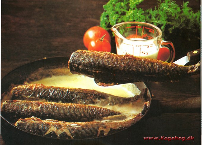 Makrel i flødesauce